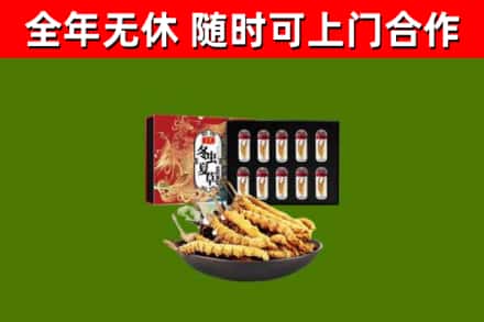 洛宁县烟酒回收冬虫夏草礼盒.jpg